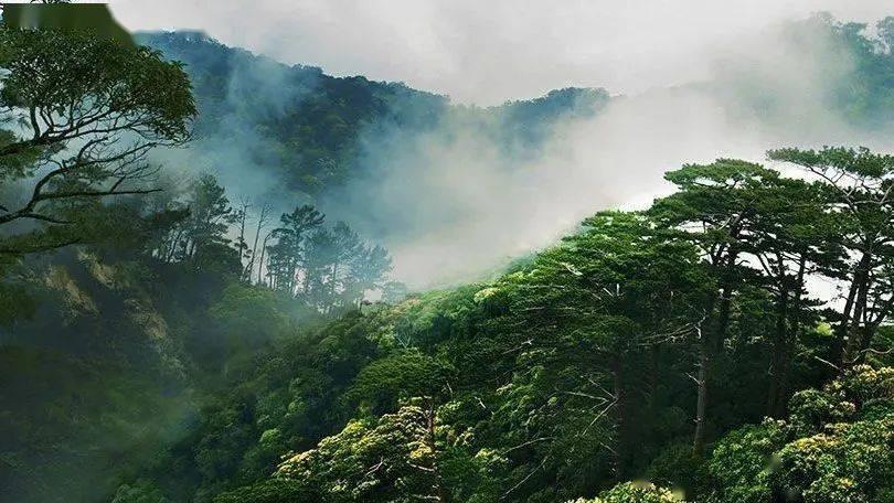 农村在自己田里投毒违法吗-专注讨论与分享的红迪网平台