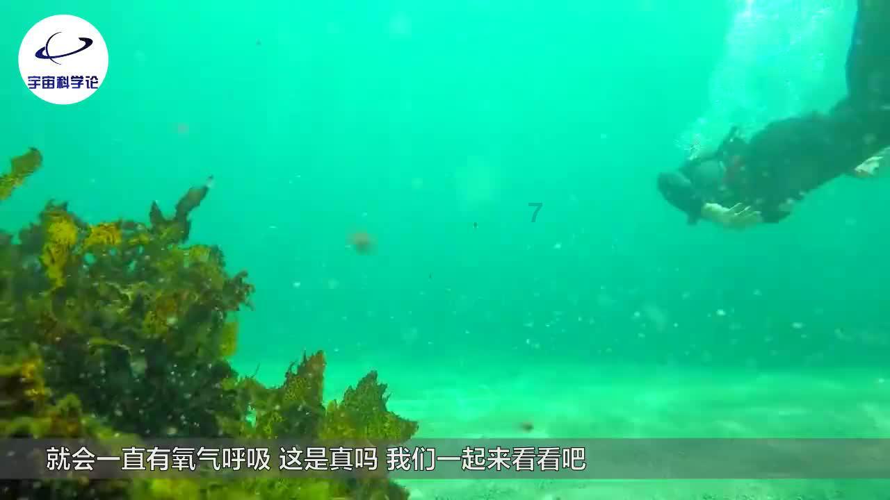 逃离灰色调房屋