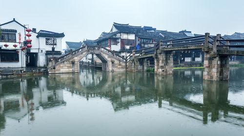 加拿大鹅用洗衣机洗了怎么办?游戏画面